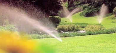 Pop-Up Sprinklers